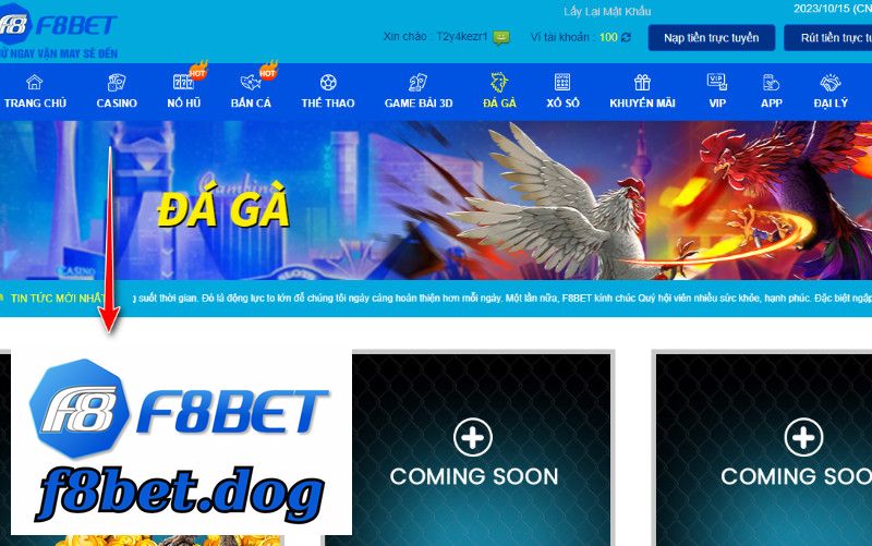 Đá Gà Tại F8BET